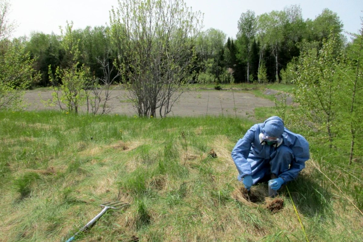 231002-PFAS-forever-chemical-farm-contamination-pollution-maine-farms-recovery-solutions-1-top-Upland-Grassroots-hemp-farming Scientist looking into contaminated soil on farmland.