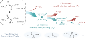 Chemistry formula